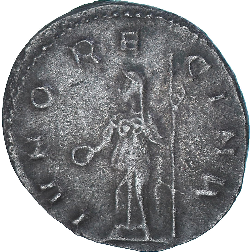 Moneta,
Saloninie,
Antoninian