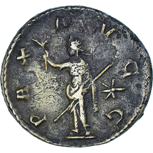 Moneta, 
  
  Woluzjański, 
  
  Antoninian