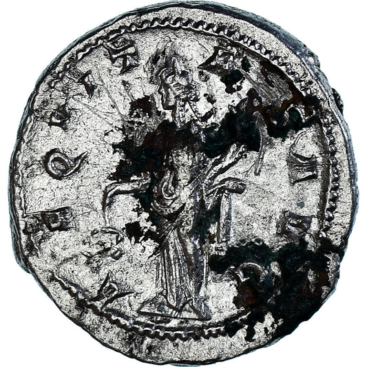 Moneta, 
  
  Gordian III, 
  
  Antoninian