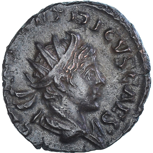 Moneta, 
  
  Tetricus II, 
  
  Antoninian