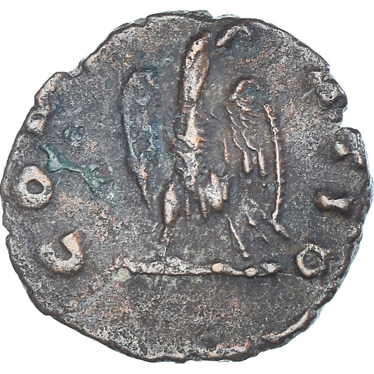 Moneta, 
  
  Divus Klaudiusz II Gothicus, 
  
  Antoninian