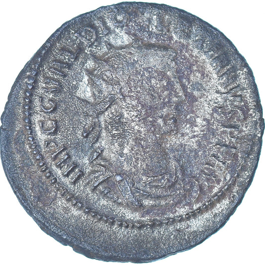Moneta, 
  
  Dioklecjan, 
  
  Antoninian
