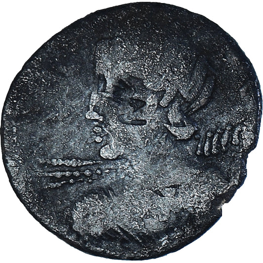 Moneta, 
  
  Licynia, 
  
  Denar