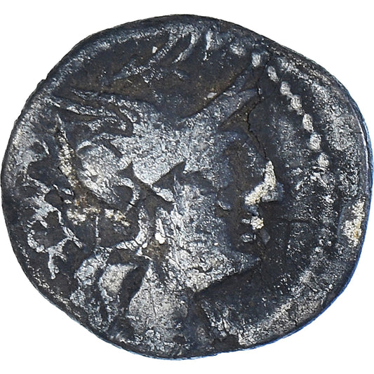Moneta, 
  
  Cecylia, 
  
  Denar