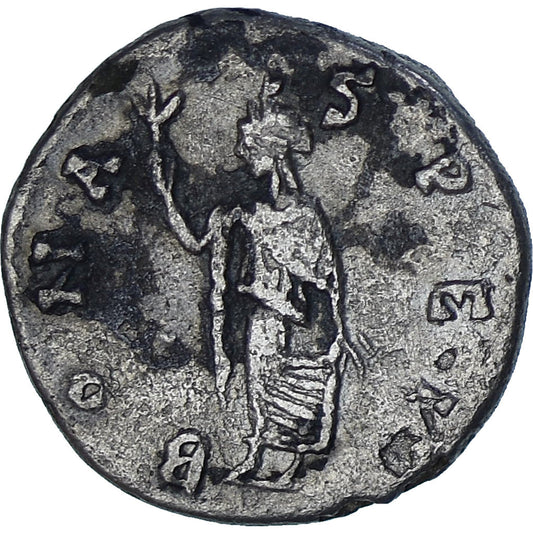 Moneta, 
  
  Septymiusz Sewer, 
  
  Denar