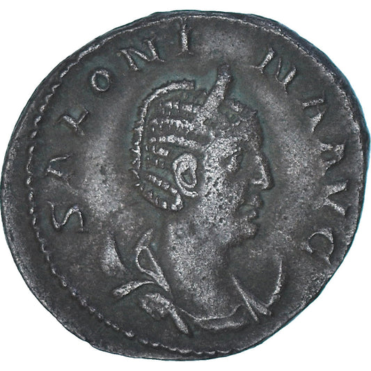 Moneta, 
  
  Saloninie, 
  
  Antoninian
